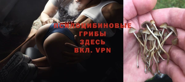 ГАЛЛЮЦИНОГЕННЫЕ ГРИБЫ Абинск