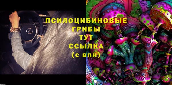 spice Абаза