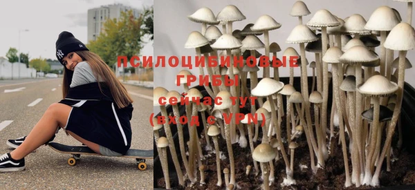 spice Абаза