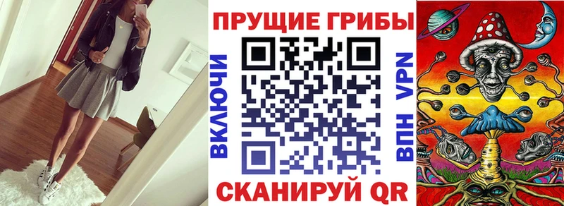 Галлюциногенные грибы Psilocybine cubensis  даркнет сайт  Гаджиево 